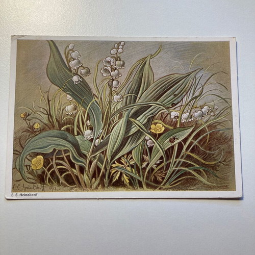 Postcards set of 8 various new