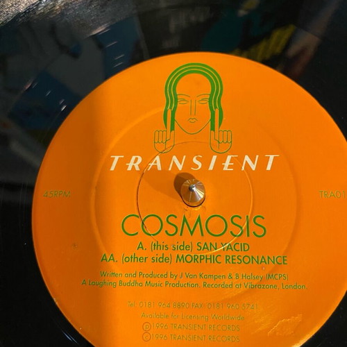 Cosmosis Goa Trance Vinyl Record used