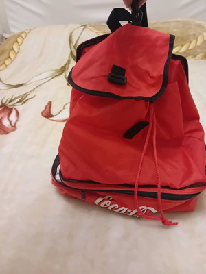 Insulated backpack bag used in very good condition