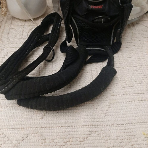 Dog leash used for dogs that pull, brand Halti