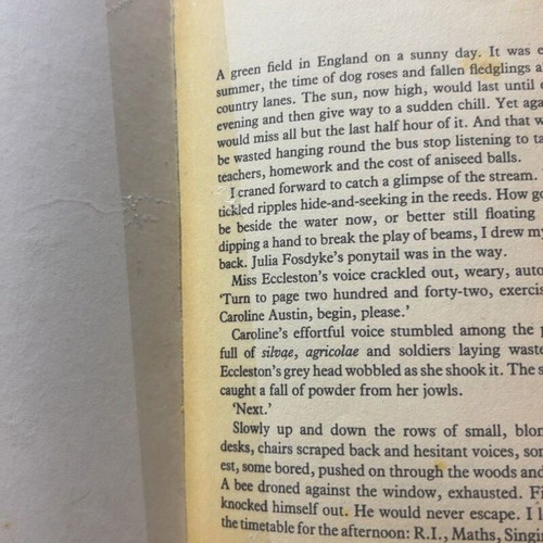 Runaway by Lucy Irvine used English book with missing pages