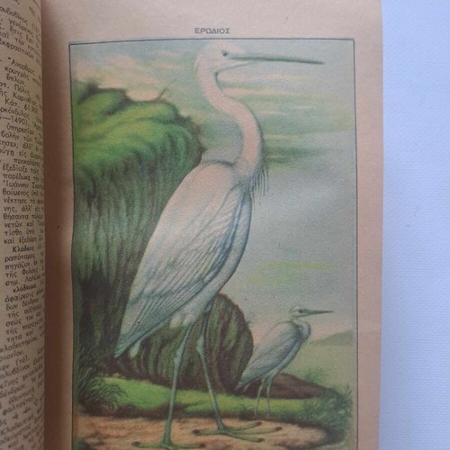 Epitomon Orthografikon kai Egkyklopaideikon Lexikon Iliou used, volume 2 K-O