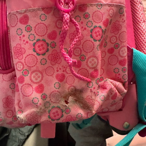 Strawberry rolling bag used