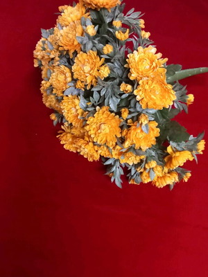 Chrysanthemum root artificial like new