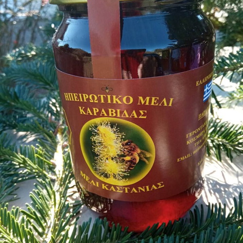 Chestnut Honey 3 kg from Zagorochoria Ioannina new