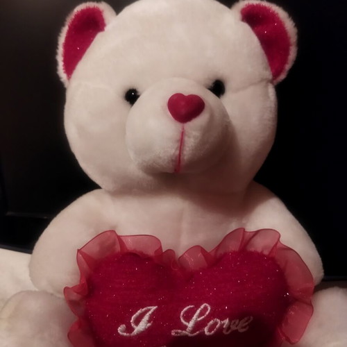 Plush teddy bear with heart