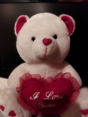 Plush teddy bear with heart