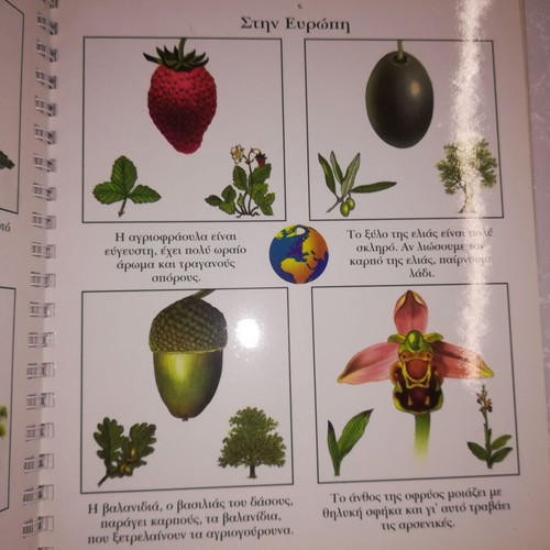 Atlas of Plants, translated by Sofia Arsenidi, illustrated by Sylvaine Perols