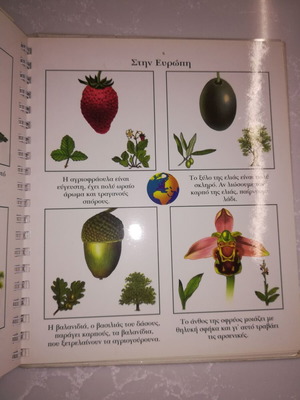 Atlas of Plants, translated by Sofia Arsenidi, illustrated by Sylvaine Perols