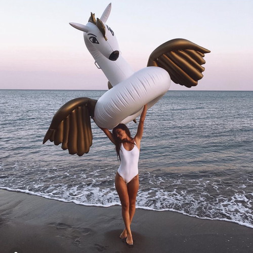 Pegasus inflatable float large new
