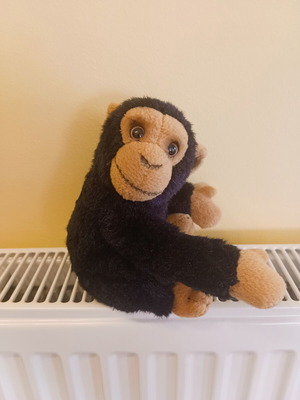 Plush monkey in very good condition