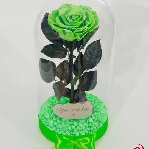 Green Natural Eternal Rose in Large Glass Dome made to order