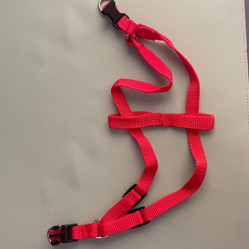 Simple red dog harness new, adjustable 1.5 cm width