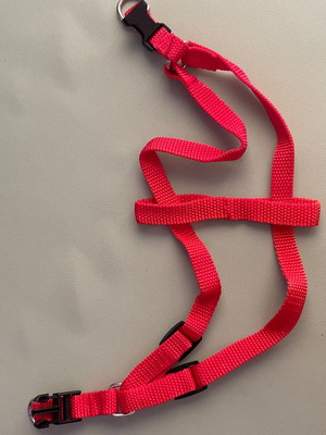 Simple red dog harness new, adjustable 1.5 cm width