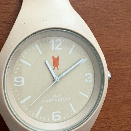 French Bull Watch unisex beige rubber and steel like new