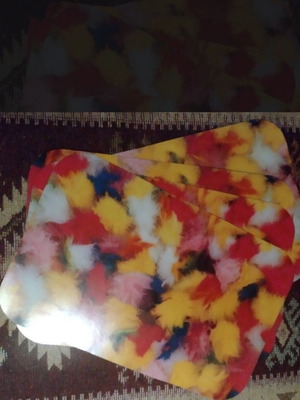 Eliasson colorful placemats set of 2, like new