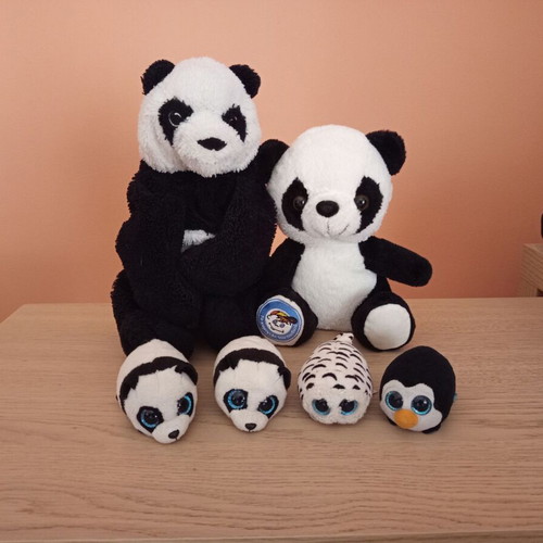 Beanie Balls and teddy bears like new, pack of 6 plush toys
