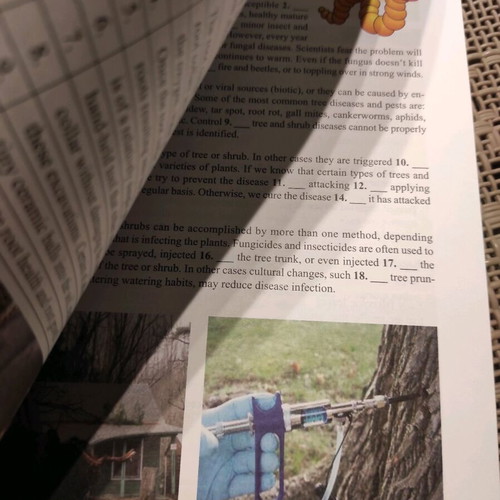 The Earth in a Nutshell Malivitsi & Perdiki new English learning book