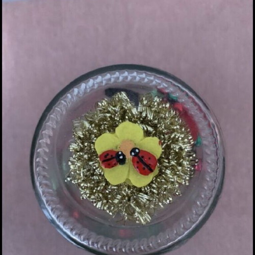 Decorative vase with ladybug new