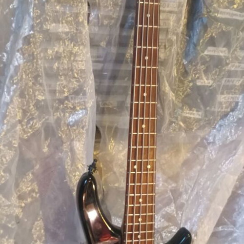 Sound Station SPCL Edition 5-string electric bass guitar