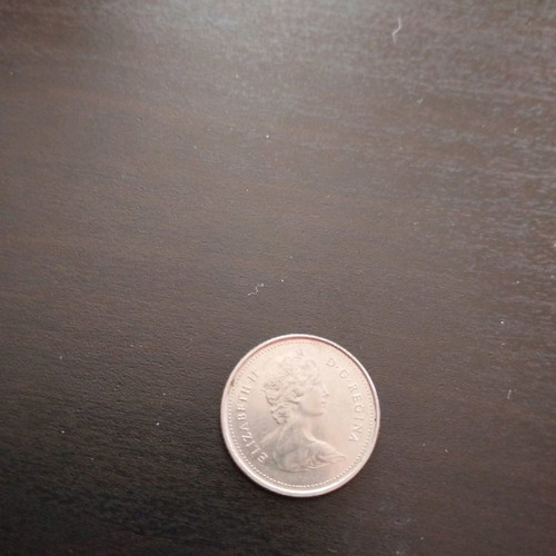 Canadian coin used from 1980