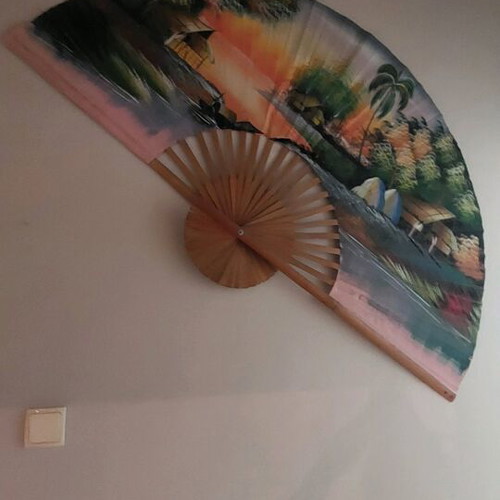 Large decorative wall fan like new