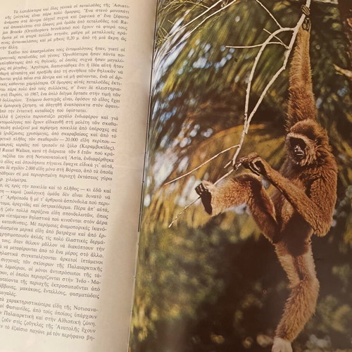 The Wonderful World of Animals used volumes 1, 2 and 5 edition 1973