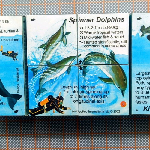 Zoobookoo Cube Book Dolphins and Whales new, educational