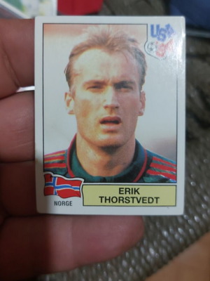 Erik Thorstvedt Usa94 Panini стикер