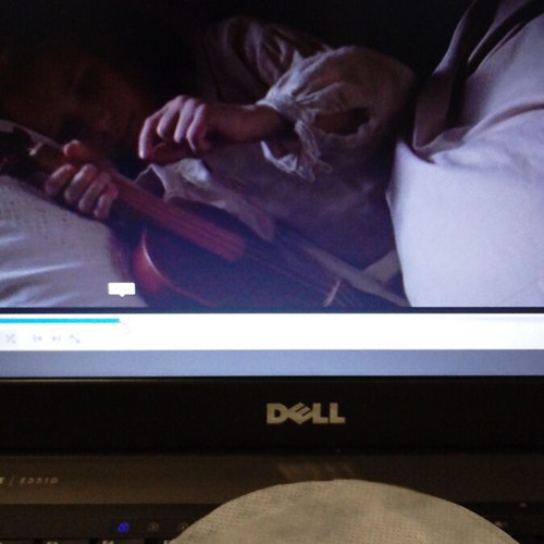 The Red Violin DVD like new, social drama with subtitles