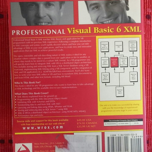 Professional Visual Basic 6 XML book like new
