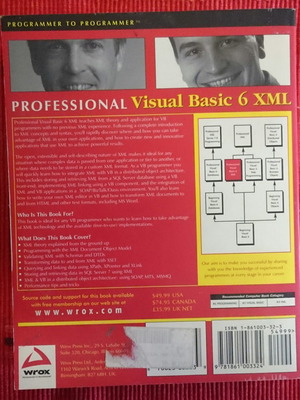Professional Visual Basic 6 XML book like new
