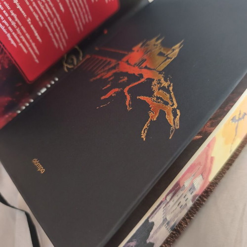 The Fourth Wing book