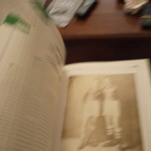 Panathinaikos commemorative album, 2 volumes