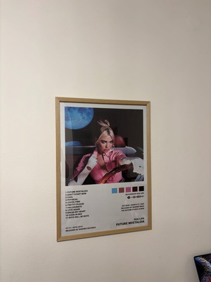 Dua Lipa Future Nostalgia HD album cover poster with frame new