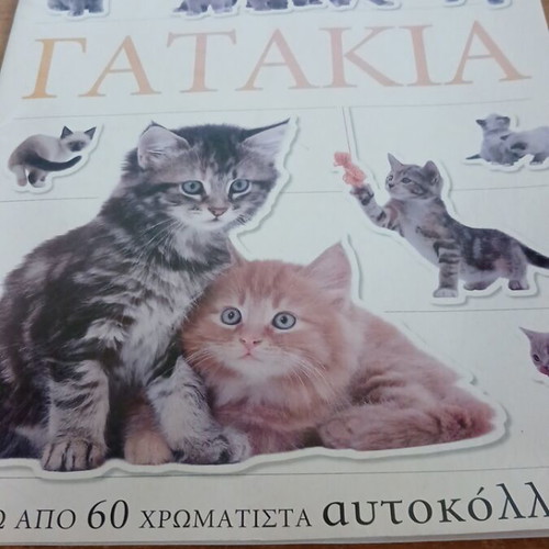 Kittens sticker book