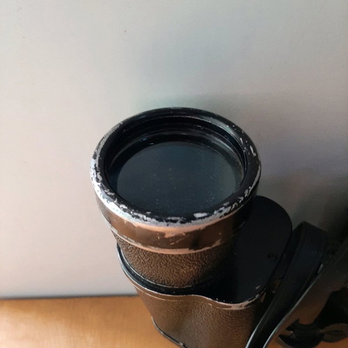 Horizon Ambassador 10×50 binoculars used, vintage Japanese model