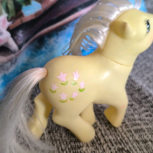 My Little Pony G1 '84 used with accessories