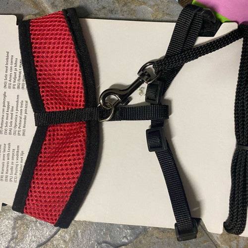 Cat collar with harness leash new