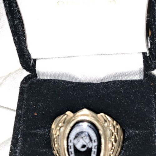 Men's gold ring new with horseshoe and horse design natural onyx 14k