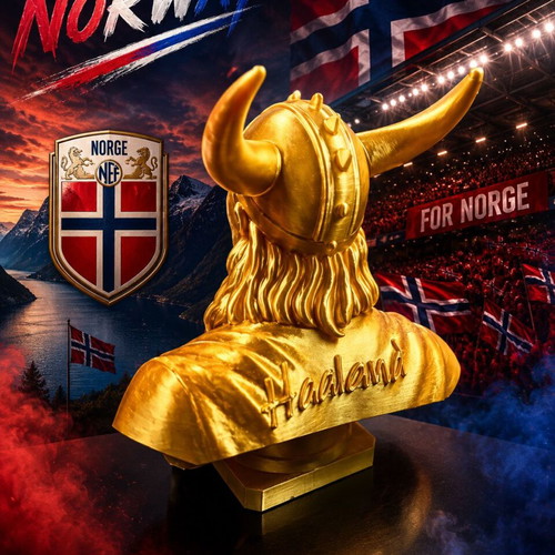 Erling Haaland Viking Bust 3D Printed Collectible Figure new
