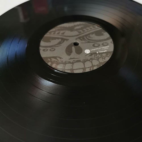 The Ducky Boyz Making It Worse vinyl LP like new