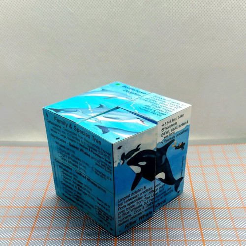 Zoobookoo Cube Book Dolphins and Whales new, educational