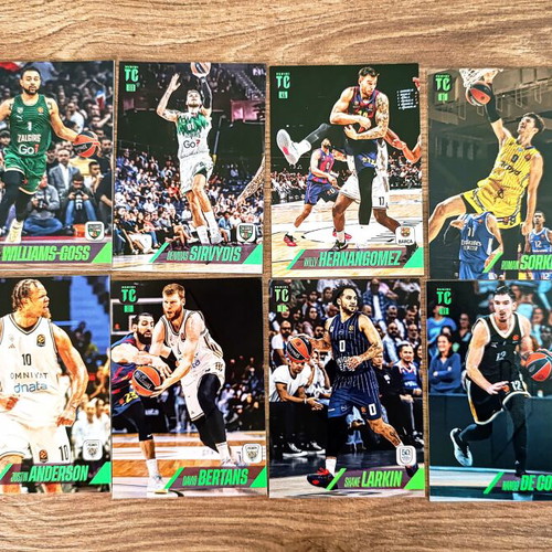 Panini Top Class Euroleague Card Bundle new condition
