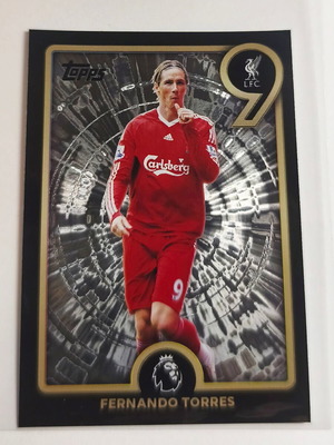 Topps Premier League 2025/2026 Divine 9 Sticker No. 556 Fernando Torres new