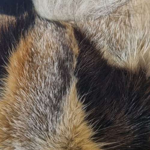 Leather Russian hat with northern fox tail like new
