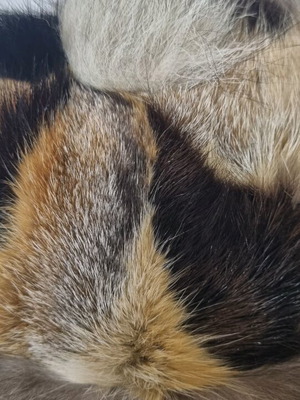 Leather Russian hat with northern fox tail like new