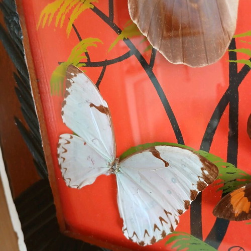 Vintage Brazilian framed butterflies like new
