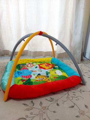 Playmat & Arch Mothercare Baby Safari used