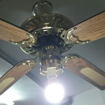 Ceiling fan used with light fixture